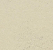 Линолеум Forbo Marmoleum Decibel on Order 370135 moon фото 1 | FLOORDEALER